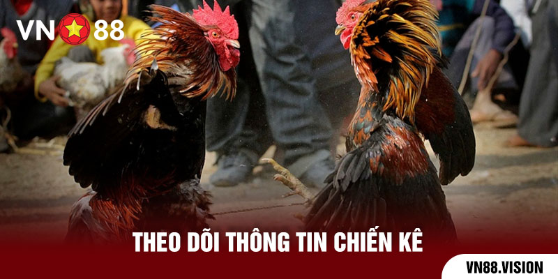 theo dõi thông tin chiến kê tăng tỷ lệ thắng 